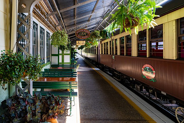 Kuranda train station has more than 200 plants – and sometimes you can see pythons gliding across the platform, Tom learns