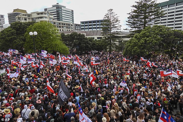 A proposed bill has sparked outrage among some of the country's Maori communities