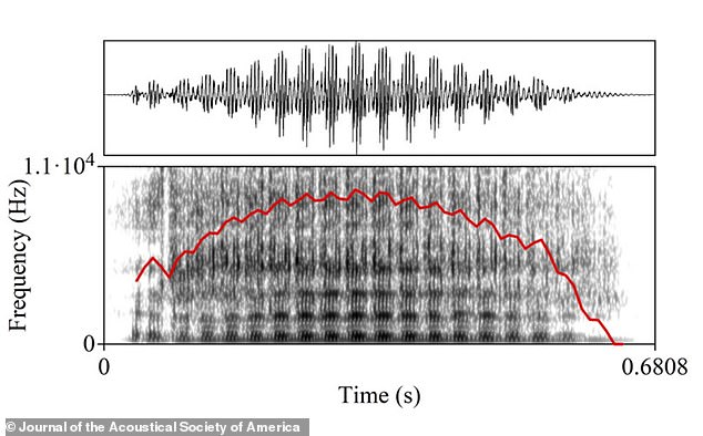 Study author Marcus Perlman thinks that speech sounds have 