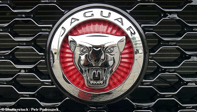 Jaguar's rebranding in anticipation of their all-electric future has led James Esses to consider selling his engine for one of Elon Musk's Teslas - the EV company's owner was recently appointed 'efficiency czar' in the team of newly elected President Trump