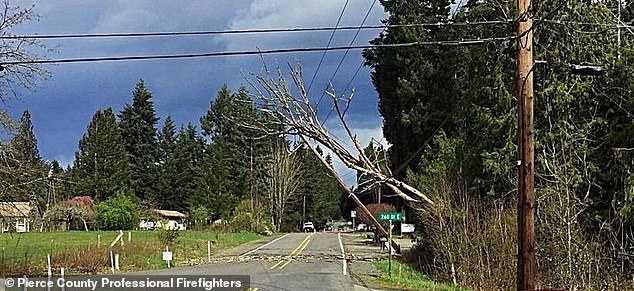 More than 700,000 people were without power when the bomb cyclone hit