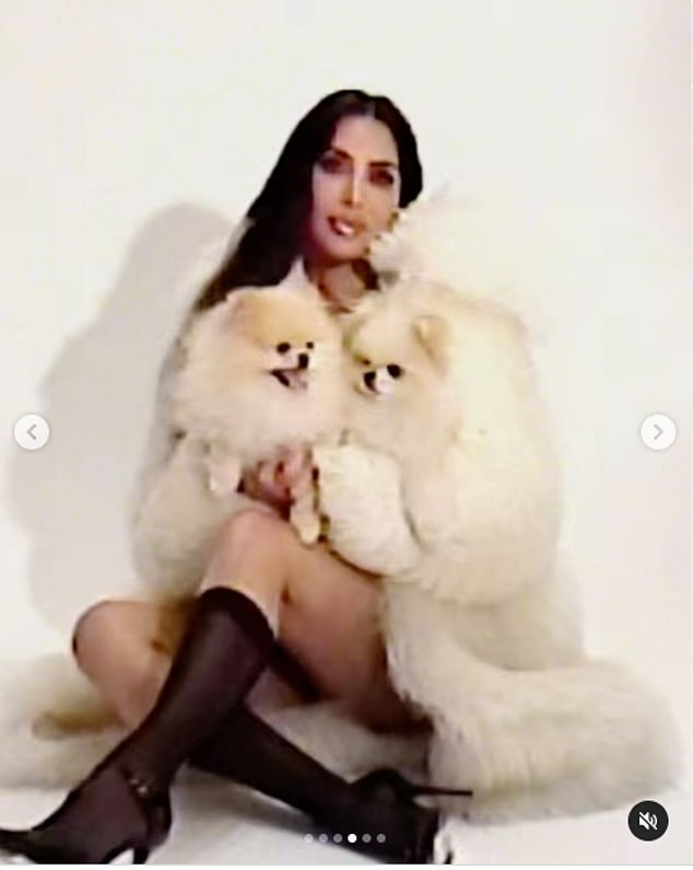 1732207735 392 Kim Kardashians dog Sushi is ALIVE after fans sparked concern