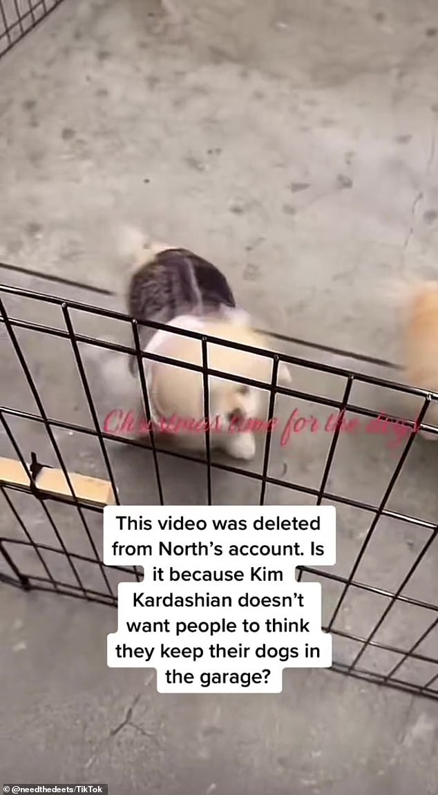 The video - which was reposted by @NeedTheDeets - was widely criticized as fans called out Kim for not providing better living conditions for her dogs