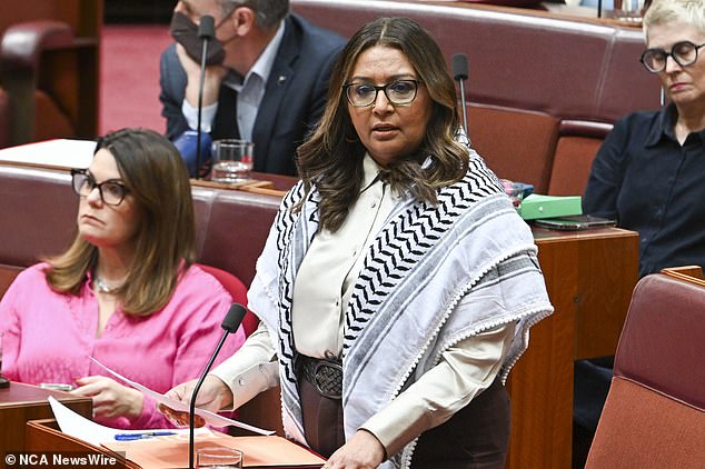 Greens senator Mehreen Faruqi said the tweet caused a 