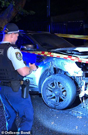 Police on the scene of a burnt-out car