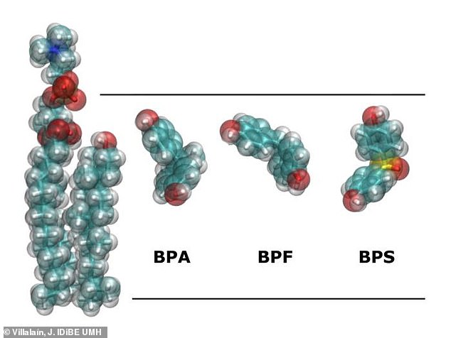 Two of the most commonly used alternatives – bisphenol S (BPS) and bisphenol F (BPF) – actually behave almost identically to the dangerous chemical they were intended to replace