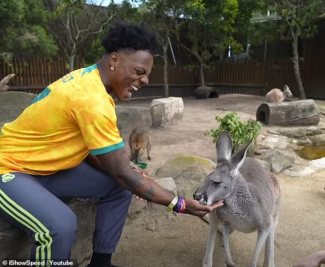 Speed ​​first met a kangaroo during a trip to Sydney's Taronga Zoo - and it wasn't long before he told the keeper he wanted to race the marsupial