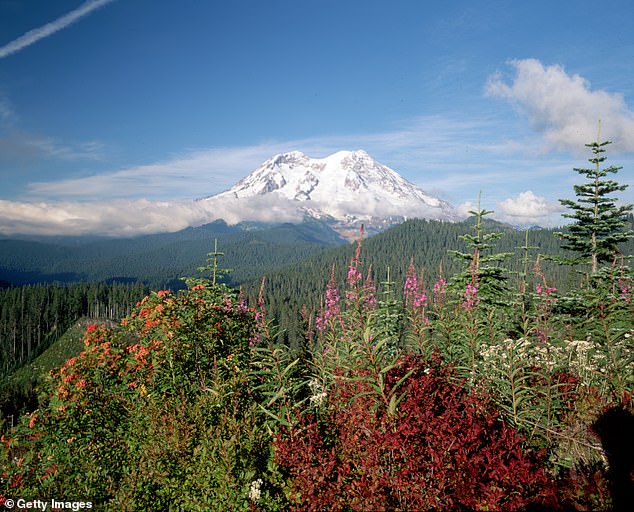 Before pinning the blame on the factory, authorities speculated that a nearby active stratovolcano, Mount St. Helens (pictured) – just over an hour's drive from the paper mill – may have contributed to the odor.