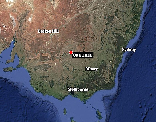 The Super Puma helicopter crashed on Corrong Road at One Tree, near Hay, in south-west NSW, just before midday on Friday.