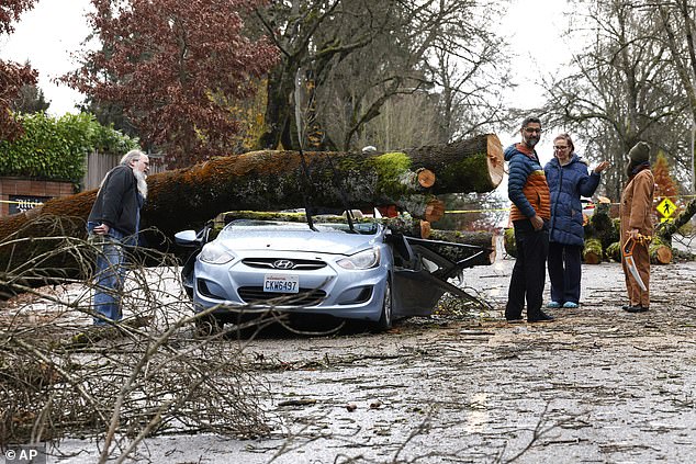 Falling trees damaged homes, crushed cars and killed two people in the Seattle area