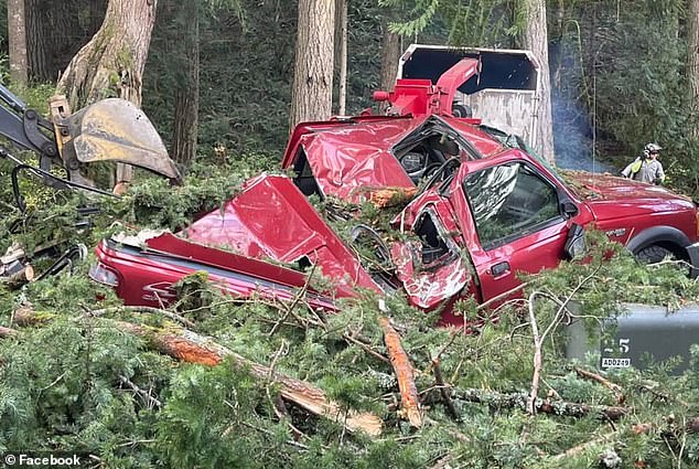 A pickup truck was completely crushed by a falling tree in Sudden Valley, as this image on Facebook shows