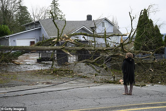 Tiffani Palpong stands in front of her home where her 20-year-old son Logan was still trapped by downed power lines and trees in Lake Stevens, Washington on November 20, 2024