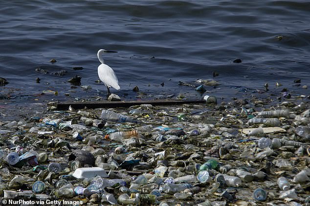 Much of the plastic sent to Indonesia ends up in landfill or in the sea