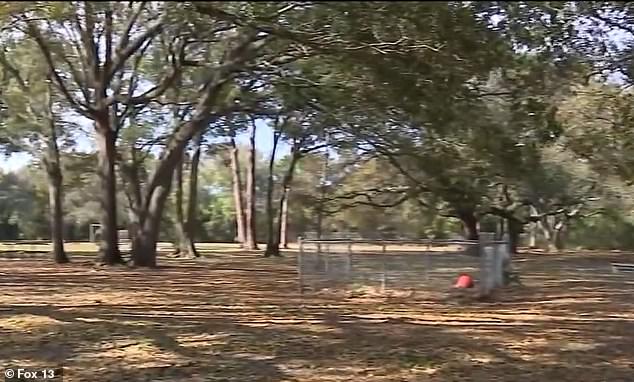 The men had reportedly become friends after meeting at West Dog Park in Tampa, but the friendship soured after they got into an argument over Lay being gay.