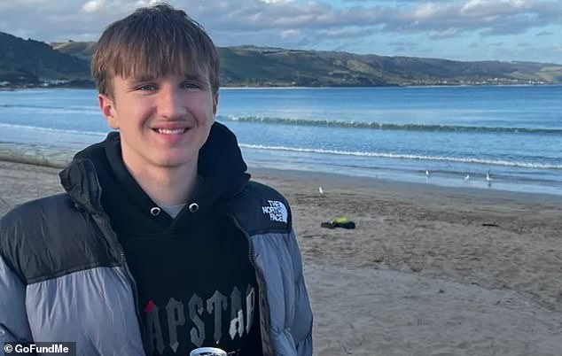 The teenage boy (pictured), who can only be identified as Isaac for legal reasons, was camping with friends in Wilton, south-west Sydney, when he was allegedly stabbed by Greig.