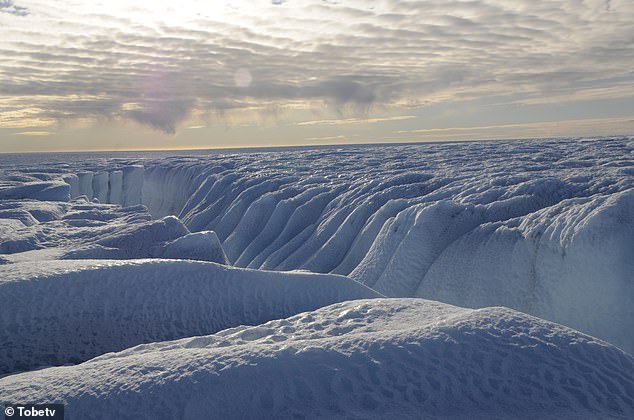 The Greenland Ice Sheet (photo). Earth's two ice sheets today cover most of Greenland and Antarctica