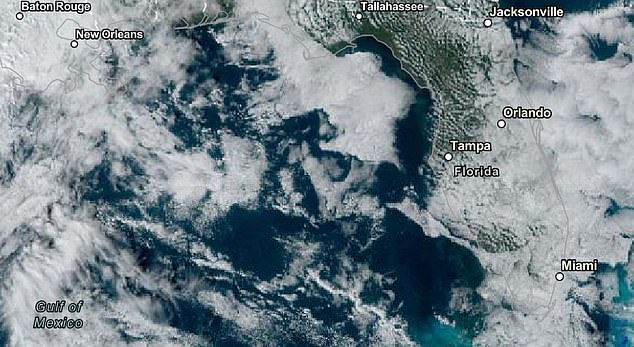 The storm is expected to reach Florida early Wednesday, bringing at least two to four inches of rain to the area. Pictured: A satellite image of the approaching storm as it approaches the Florida Panhandle