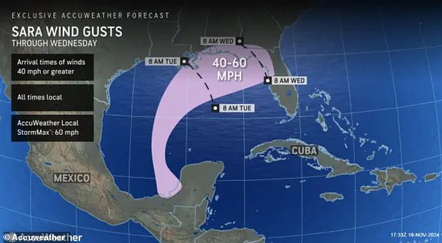 Wind speeds could reach 40 to 60 miles per hour, causing tornadoes to develop in Florida and creating dangerous currents along the Gulf Coast