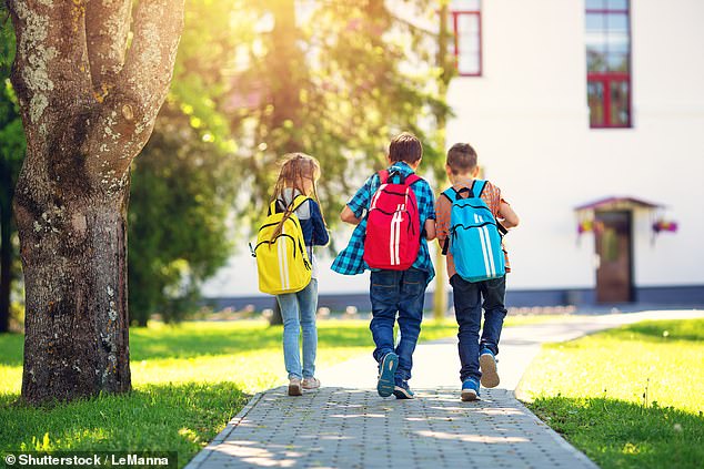 Sunlight has a balance between what scientists call red and blue light, and experts are concerned that overexposure to the latter could cause a host of potential negative health problems in the future. Stock image