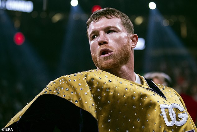 Paul desperately wants to fight Canelo Alvarez, but that would end disastrously for him