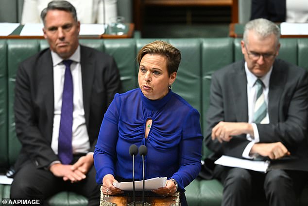 Communications Minister Michelle Rowland will introduce the divisive bill on Thursday