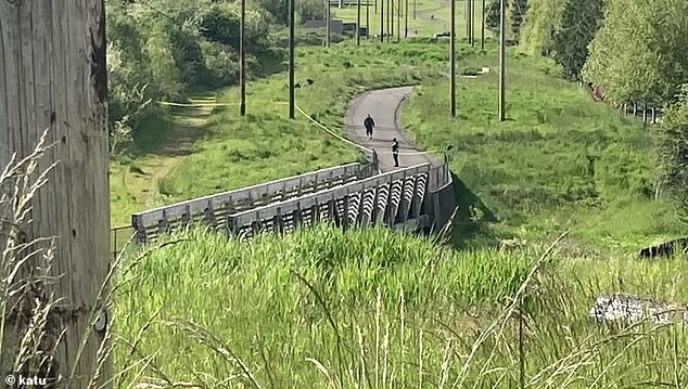 He then dumped the teen's body in a shallow creek and tried to hide her with a waterproof tarp and logs. Her clothes were scattered on nearby bushes (photo: crime scene)