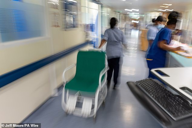 The NHS is being 'ripped off' by private entities raking in huge profits by hiring doctors to hospitals (file image)