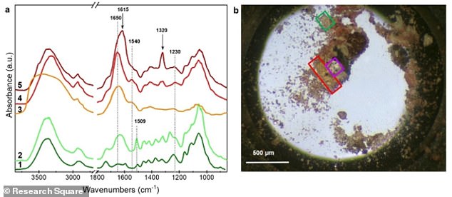 The team used multiple analytical methods, including spectroscopy, which studies the absorption and emission of light and other radiation by matter