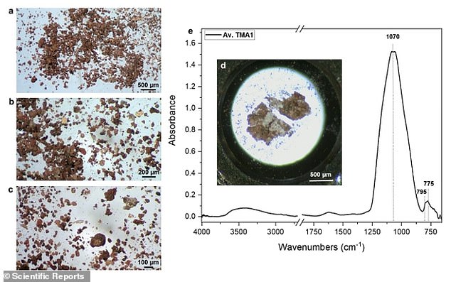 Depicted, optical images of the sample collected from vessel remains at various magnifications. The sample usually consists of small grains of different size and color