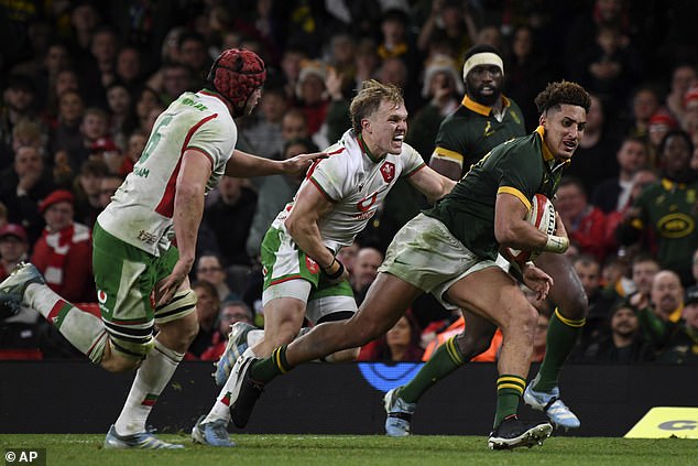 The clear gulf in class between the two sides in terms of physicality and rugby quality showed just how far Wales have fallen behind the rugby elite in recent times.