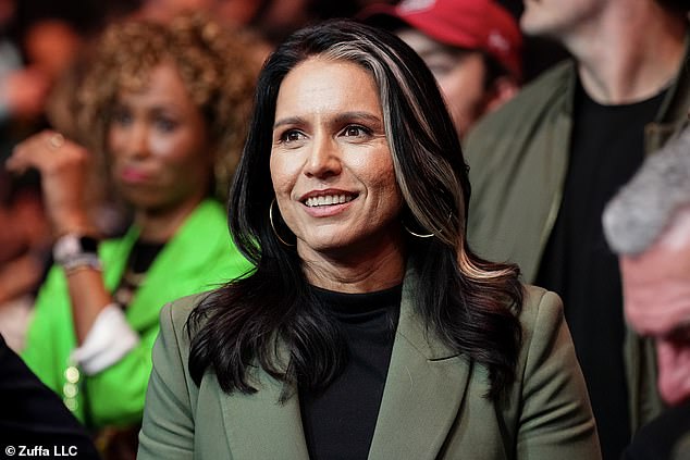 Steve Israel specifically pointed to Tulsi Gabbard as a concerning candidate