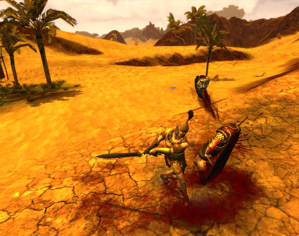 A warrior bloodily cuts off someone's head in a desert in Age of Conan