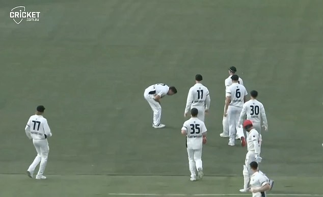 But while celebrating the wicket, he appeared to hurt his shoulder after high-fiving a teammate