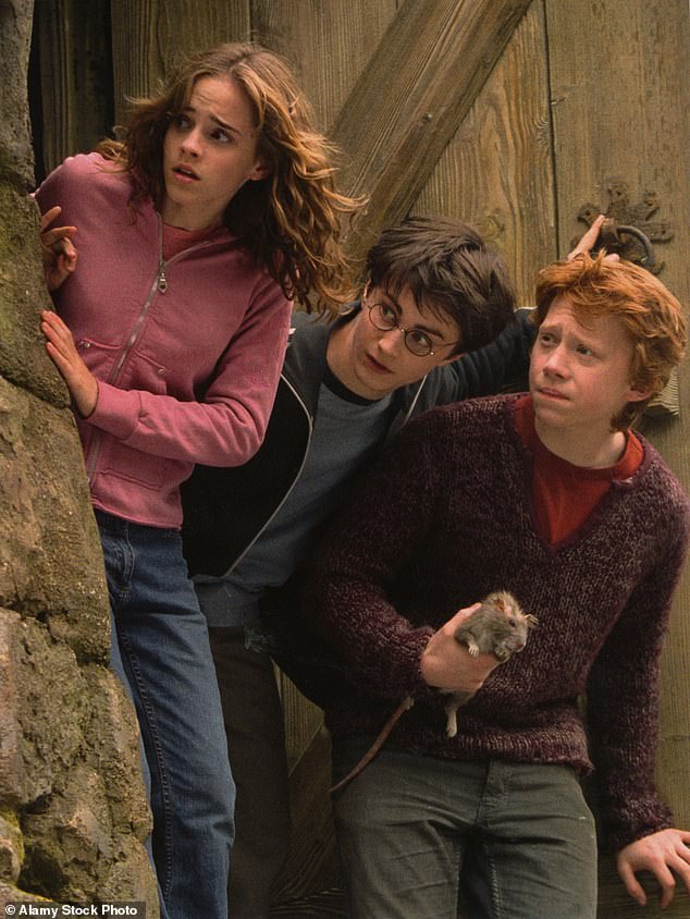 An open casting call was announced for young actors to play Harry, Ron and Hermione, with applicants required to be aged between 9 and 11 by April 2025