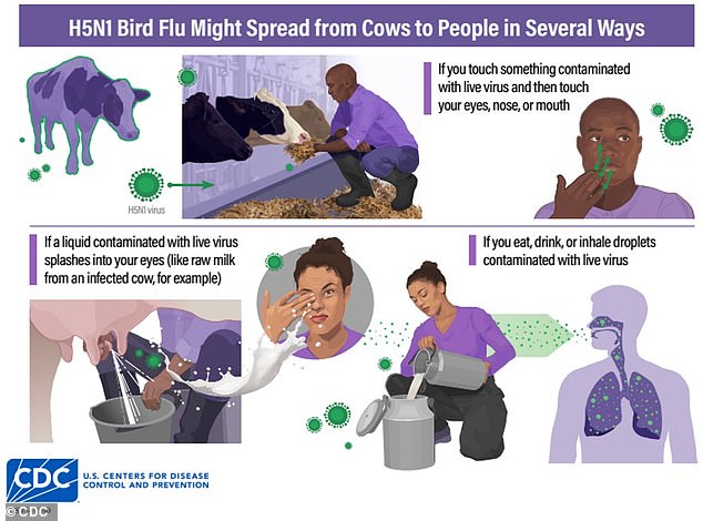 Symptoms of the virus include redness of the eyes, sore throat, runny nose, diarrhea, vomiting and fever