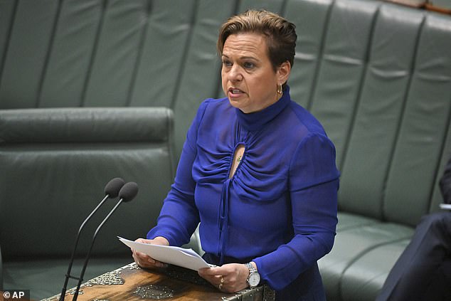 Communications Minister Michelle Rowland announced that Labor would abandon the introduction of the disinformation law