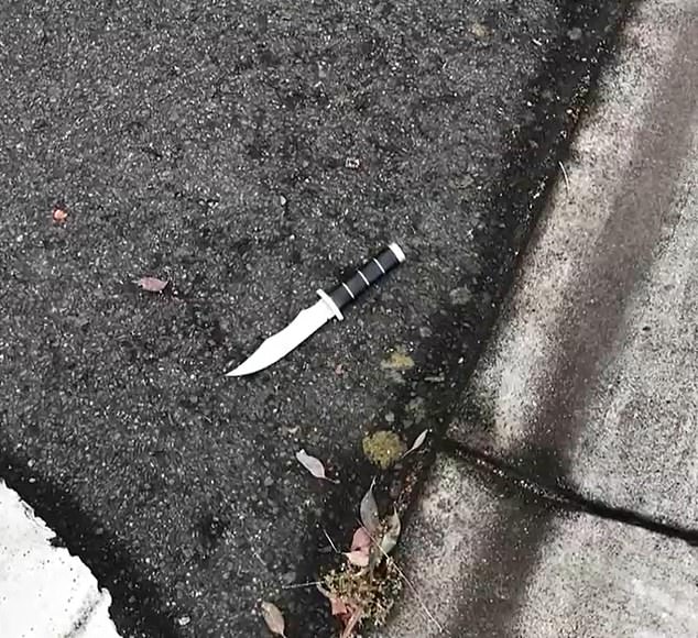 The 19-year-old is said to have stabbed Mr Cook after telling him to get out of the car (photo: a knife found at the scene)