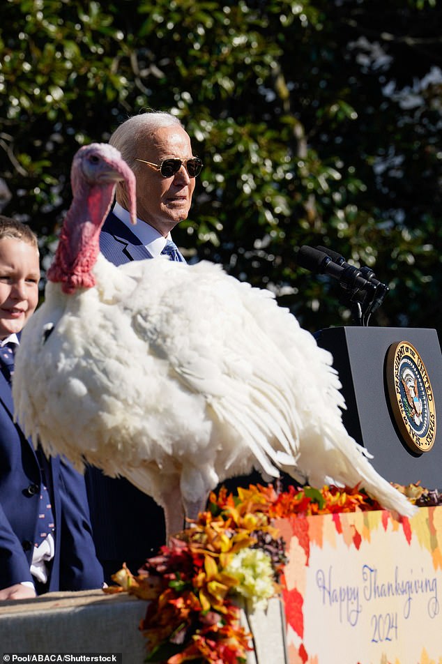 The 82-year-old took part in his latest thrift of the gobbling fowl on Monday, giving the two lucky birds a long life on a farm instead of being someone's holiday dinner.