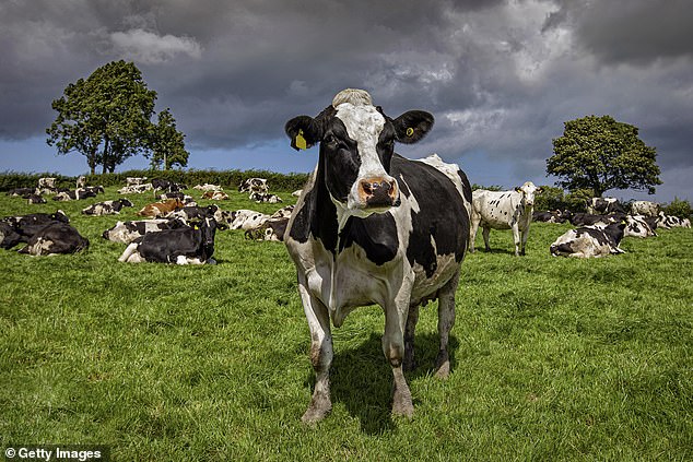 The virus was first found in California in unpasteurized commercial milk