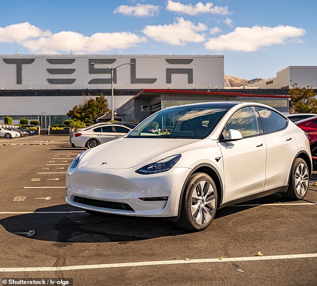 Tesla has slashed the price of its Model Y (pictured) in Australia three times since March, with the base model now costing just $55,900 before on-road costs - a discount of $13,000