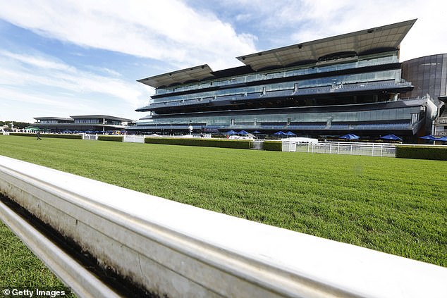 The horse had completed a routine swim at Sydney's Randwick Racecourse horse pool