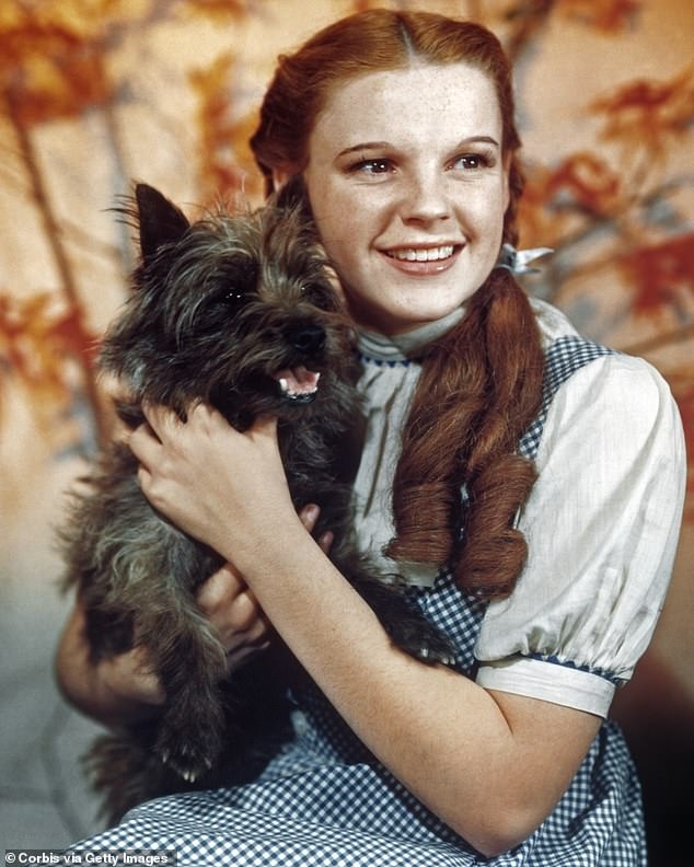 L. Frank Baum's original novel was adapted into the iconic 1939 film The Wizard Of Oz, starring Judy Garland as Dorothy Gale