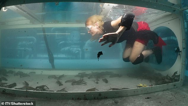 Jane swam through the water tunnels, but had difficulty keeping her head underwater for the time it took to unlock the stars.