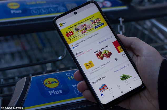 Lidl app asks to post notifications, record audio, write to external storage and more, researchers say