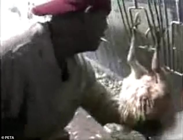 The disturbing footage posted to PETA's Instagram last week showed workers sitting on turkeys, hitting and pounding the birds and sexually assaulting them at the Ozark, Arkansas plant in 2006