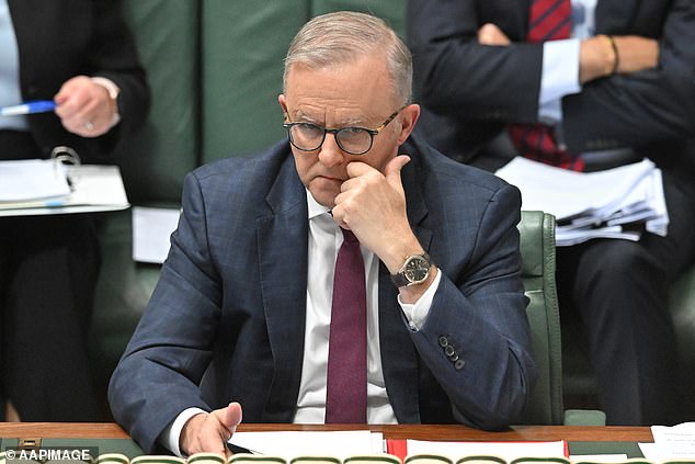 Polls show Anthony Albanese will remain in power in a minority government at the next election, depending on support from the Greens. We have now seen what that would look like