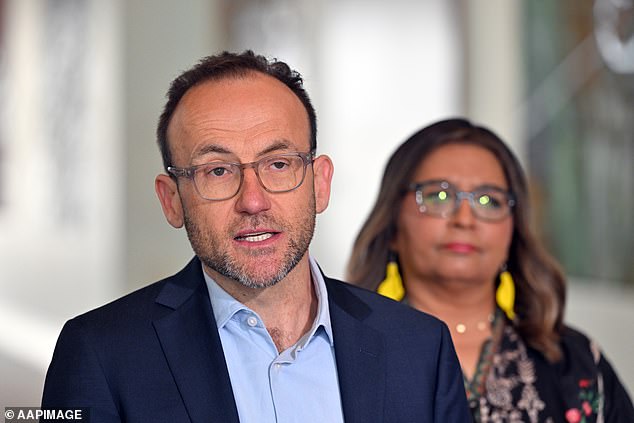 The Greens, whose support Labor needs in the Senate to get legislation passed, have yet to back Labor's better-targeted pension concessions and other measures. Bill 2023 (pictured is leader Adam Bandt with his deputy Mehreen Faruqi)