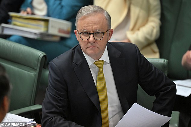 Prime Minister Anthony Albanese and his ministers have promised to reduce immigration by bringing in fewer international students