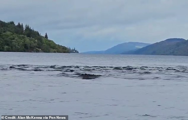 Peaks of standing waves, rising above the otherwise calm water, can be mistaken for 'bumps' above the surface