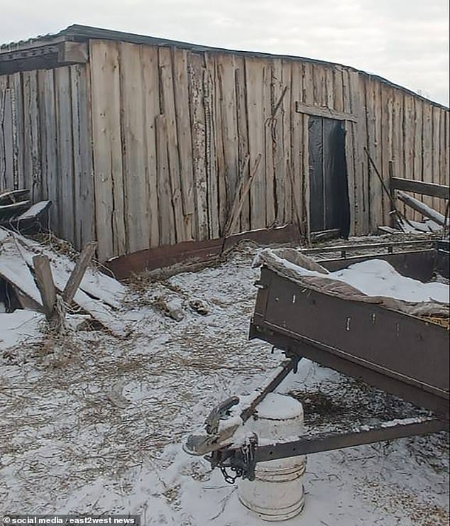 A barn on Milena's parents' farm in Russia